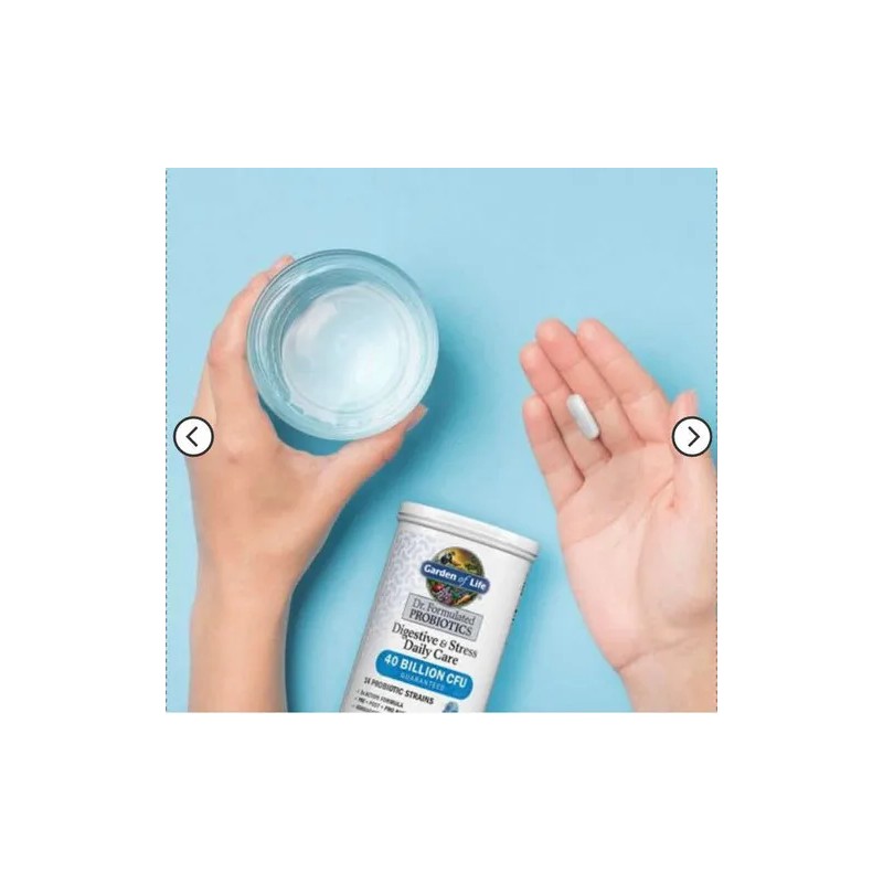 Garden Of Life Probióticos Cuidado Diario Digestivo Y Stress Sabor