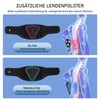 HLGO Back Support Belt with Support Struts + 3D Lumbar