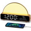 HAODINGMAI Sunrise Alarm Clock Wake Up Light with Sunrise Simulation