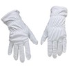 Audio Anatomy Vinyl Record Cleaning Glove Made of Microfibre -
