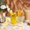 8 Pcs Coasters Set with Holder for Drinks Absorbent Modern