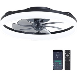 DIAMONDFORGE Ceiling Fans with Lights and Remote Fandelier - 20'' Flush Mount Low Profile Modern Black Ceiling Fans for Bedroom - Stepless Color Temperature Change and 6 Speeds