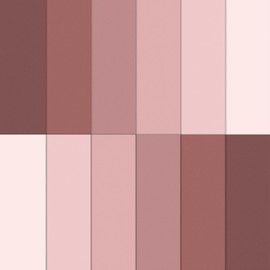 JarThenaAMCS 12Pcs Dusty Pink Cotton Fabric Bundles 10 x 10 Inch Gradient Pink Fabric Squares Colorful Sewing Fabrics for DIY Craft Party Decor