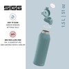 SIGG - Stainless Steel Drinking Bottle - Shield ONE Morning