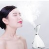 Facial Thermal Steamer Nano Water Spray Acne Wrinkle Removal Moisturizing