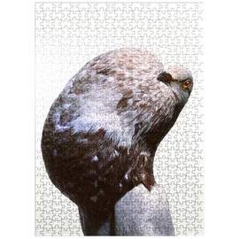 MyPuzzle English Pouter (Puffer Pigeon) - Premium 500 Piece Jigsaw Puzzle for Adults