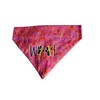 Rainbow Woof Over the Collar Dog Bandana That Slips onto