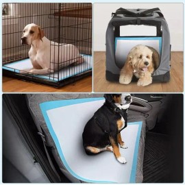 Pañal Almohadillas De Entrenamiento Para Perros Y Gatos 50pz                                                                                          