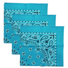 USA Made Military Army Trainmen Paisley 22 / Hav A Hank Paisley Bandana Made in USA (Set of 3) (Turquoise)