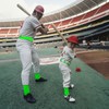 WHIPPY Baseball Socks and Belt Combo for Youth Adult -