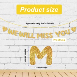 We Will Miss You Banner, Pre-Strung No DIY Glitter Bunting Banner Going Away Party Decorations for Office Work Farewell Goodbye Retirement Graduation Party Decorations Supplies (Gold)
