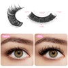 Sibba 10 Pairs False Eyelashes Russian Strip Lashes Fluffy Wispy