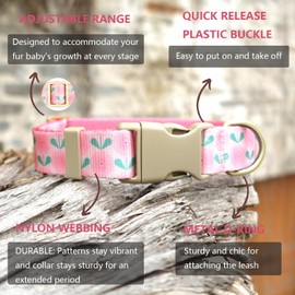 Petiry Lightweight Floral Puppy Collar with Dandelion Pattern for Spring and Summer,Soft Fashionable Dog Collar For Extra Small Dogs Neck 23-30cm,Pink Dandelion,XS