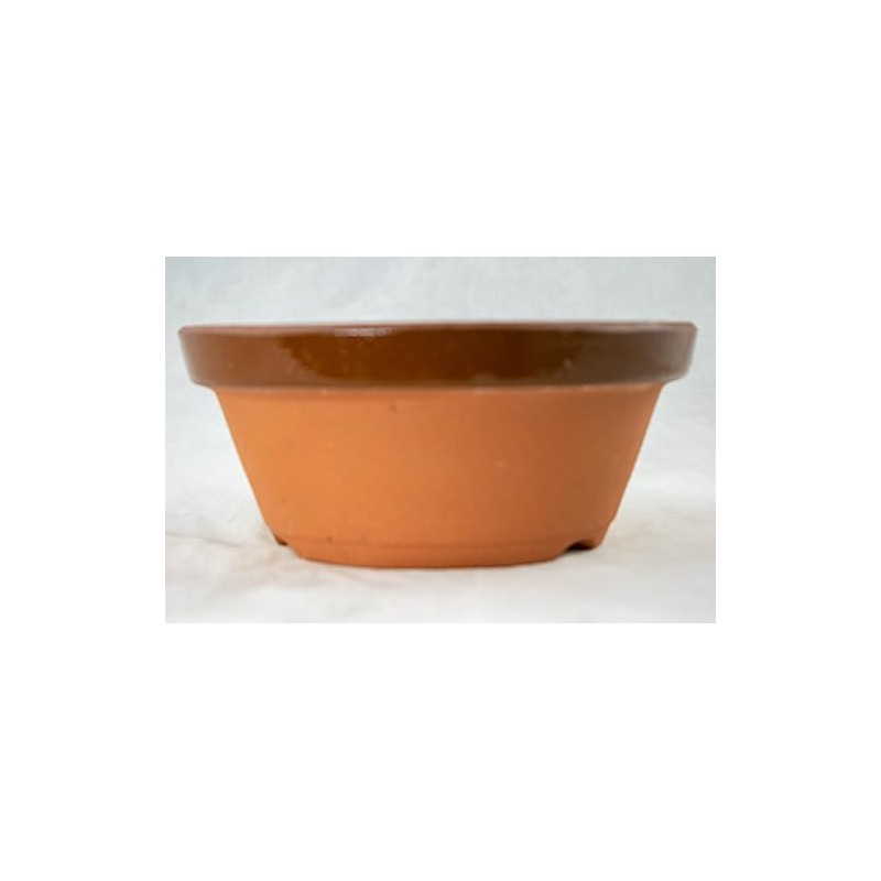 Japanese Tokoname Bonsai Training Pot, Cactus & Succulent Planter with