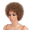 10 Inch Women's Short Afro Kinky Curly Hair Black Wigs