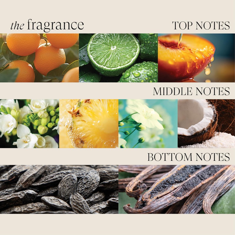 L’ANZA Healing Moisture Kukui Nut Conditioner, Renews Strength, Replenishes Moisture,