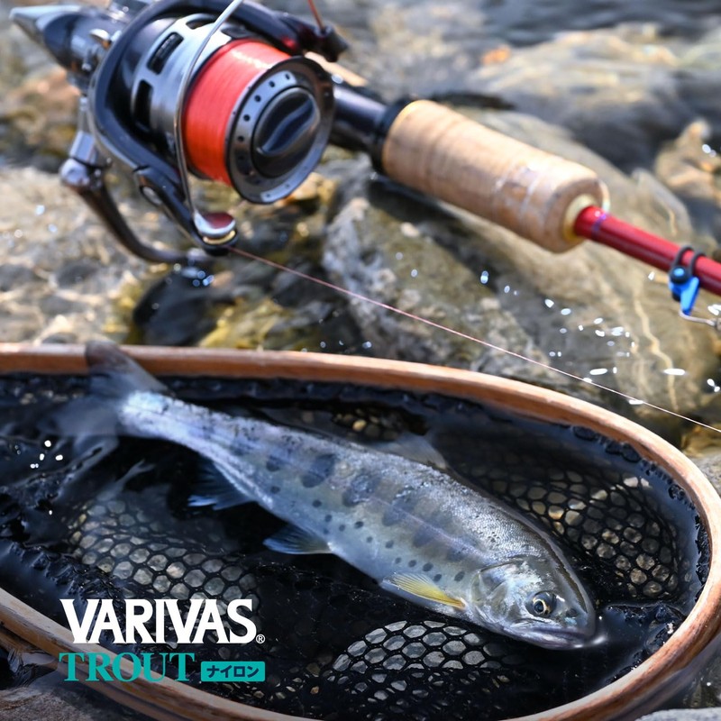 VARIVAS Trout Nylon 328.4 ft (100 m) Orange 2.5 lb