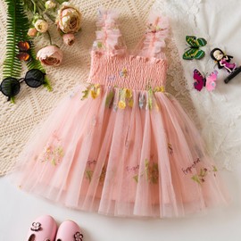 HNXDYY Baby Girl Fairy Tutu Dress Strap Tulle Flower Butterflies Embroidery Princess Dresses 150-Pink Size (1Y) 12 Months