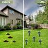 Solar-Powered Mole Repellent 10P Outdoor, Gopher Repellent for Lawn Garden