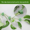 EBHO Pack of 50 Plant Clips, Plant Accessories, Plant Wall