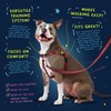 2 Hounds Design Freedom No Pull Dog Harness, Adjustable Harness