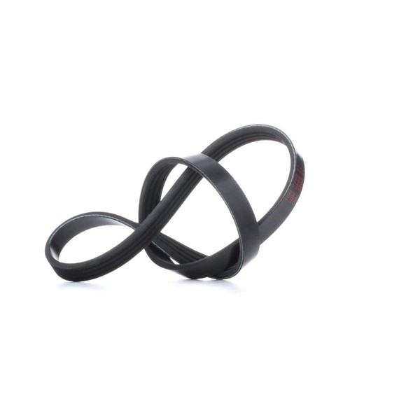 febi bilstein 28769 Auxiliary Belt, pack of one, schwarz