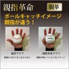 Falcon FGS-311 General Softball Glove LH (Right Throw) Black Large