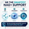 FREQNCY NAD+ Supplement, 500mg NR - Healthy Ageing & Cellular