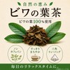 Gentle Non-Caffeine, Biwa Leaf Tea, 0.07 oz (2 g) x