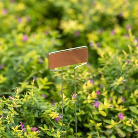 25-pcs Weatherproof Plant Markers Labels for Seedlings Vegetables Herbs Flowers Planters & Pots Ideal for Greenhouses Nurseries Botanical & Community Gardens Outdoor Gardening & Landscaping