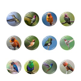 PacuM Pack of 12 Fridge Magnets from the Hummingbird Series, Decorative Fridge Magnets, Crystal Glass Fridge Magnets, Decorative Glass Cabochons, Colourful 3D Magnets for Fridge, Suitable for