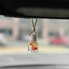 Round hanging diffuser - Compact Size, Easy Installation, Elegant Design:_Juniper Berry and Pine_Glitter & Flower Mix