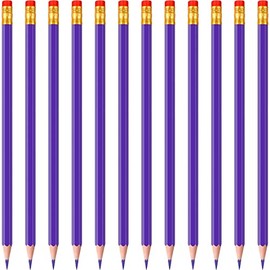 24 Pieces Checking Erasable Pencils Pencils Pre-Sharpened #2 HB with Erasable Tops for Checking Map Coloring Tests Grading (Purple)