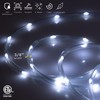 WYZworks 150ft Cool White LED Rope Light - 8 Modes,