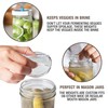 Masontops Pickle Pebble Glass Fermenting Weights - Pickling Fermentation Weight