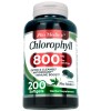 Pure Lab - Chlorophyll - pure - 800 mg per