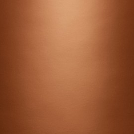 Krylon K02203 General Purpose, 12 Ounces BRILLIANT SPRAY PAINT METALLIC COPPER