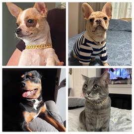 Collar de cadena de plata con brillo, collar de diamantes, collar de metal con eslabones cubanos, diamantes de imitación brillantes para cachorros pequeños, medianos y grandes, 14 pulgadas