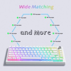 Womier Pudding Keycaps - Juego de teclas PBT de 165 teclas personalizadas, diseño de teclas de brillo a través de perfiles OEM, compatibilidad universal para 100%, 75%, 65%, 60%, blanco