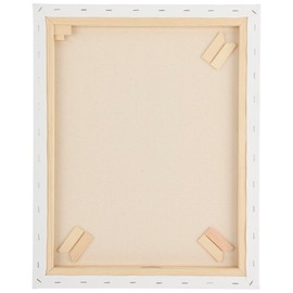 Paramount Canvas for Painting - Pack of 6, 30x40" White Canvases- 11/16" 100% Cotton Stretched Canvas, Triple-Primed for All Media, Medium Tooth, Back-Stapled, 12oz Primed Weight, Wood Stretcher Bars