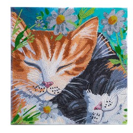 Crystal Art Medium Framed Mounted Wall Art Kit (11.8in x 11.8in) – Sleepy Cats - Diamond Painting Kit for Ages 8 and up