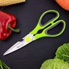 Rapesco 1598 Multi-Purpose Kitchen Scissors, Green