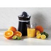 Hamilton Beach 66333 Fresh Mix 2-Cup Citrus Juicer ,Black