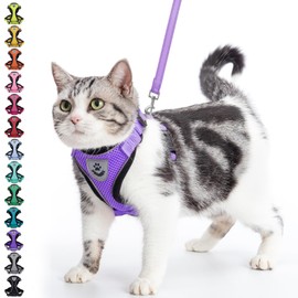 PUPTECK Cat Harness and Leash Set Escape Proof Reflective Cat Walking Harness Adjustable Soft Breathable Mesh Vest for Small Pets, Purple, M