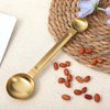 Thinp Tablespoon Measuring Spoon, Stainless Steel Coffee Scoop 1 TSP