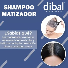 Shampoo Matizador Intensificador De Color De Dibal 250 Ml
