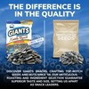 GIANTS Kettle Roast Sweet & Salty Sunflower Seeds - Sunflower