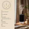 Waterless Essential Oil Car Diffuser with Color LED Voice Ambient