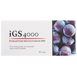 iGS4000