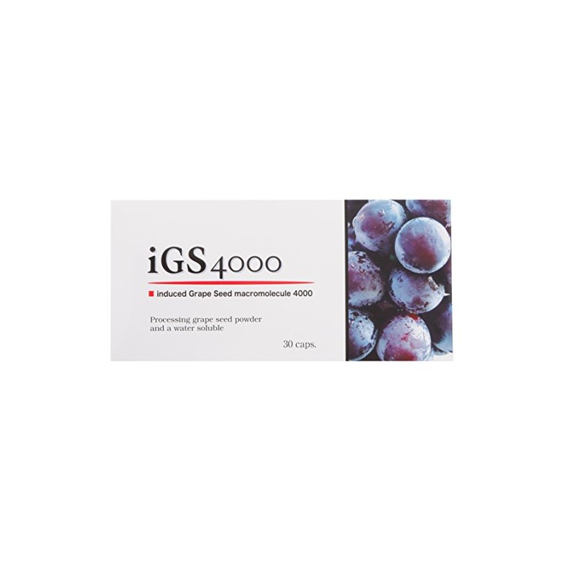 iGS4000